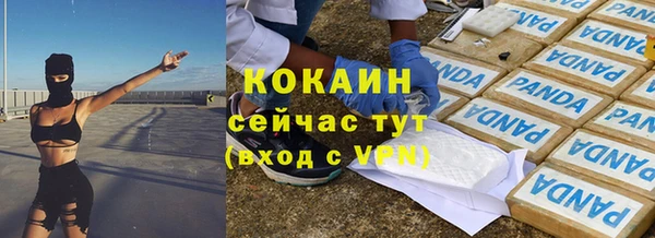 стафф Новозыбков