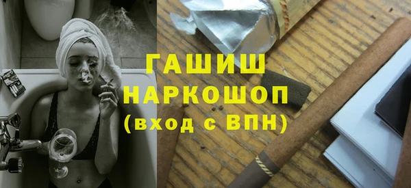 стафф Новозыбков