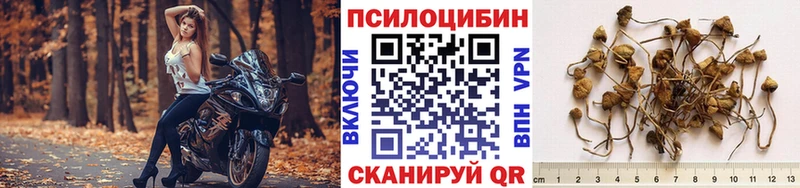 Галлюциногенные грибы Magic Shrooms  Купить где  Красногорск 